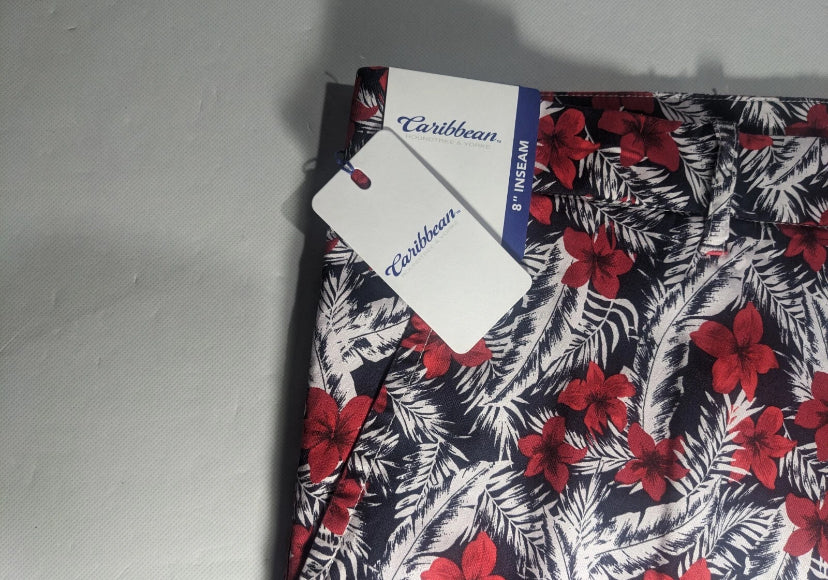 NEW Size 42 Men's R&Y Caribbean Chino Shorts 8"I Lyocell Blend Red Floral
