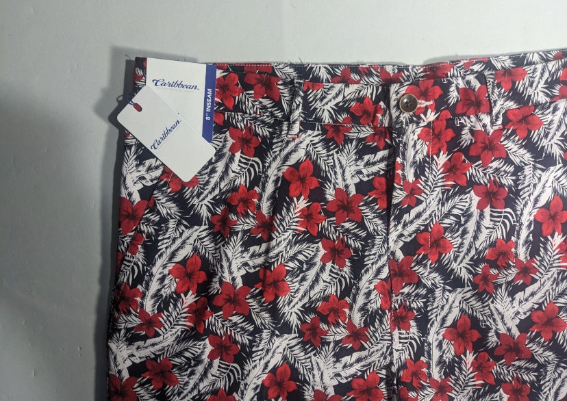 NEW Size 42 Men's R&Y Caribbean Chino Shorts 8"I Lyocell Blend Red Floral