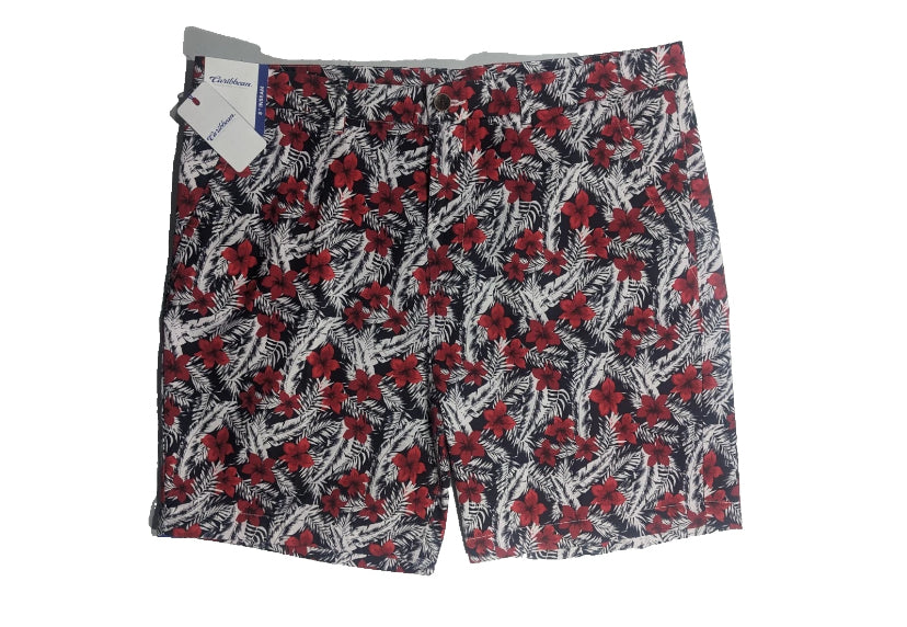 NEW Size 42 Men's R&Y Caribbean Chino Shorts 8"I Lyocell Blend Red Floral