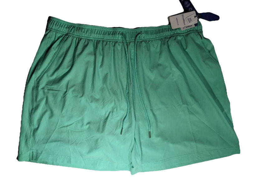 NEW Big Mens 4XB Roundtree & Yorke Caribbean Swim Trunks Quick Dry 6"I Aqua